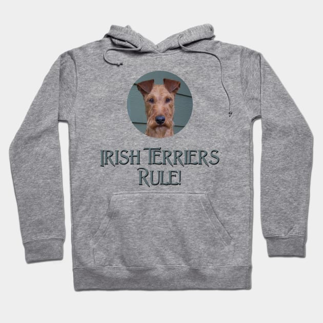 Irish Terriers Rule! Hoodie by Naves